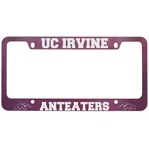 SM-31-PNK-UCI-1-SMA: LXG SM/31 CAR FRAME PINK, UC Irvine